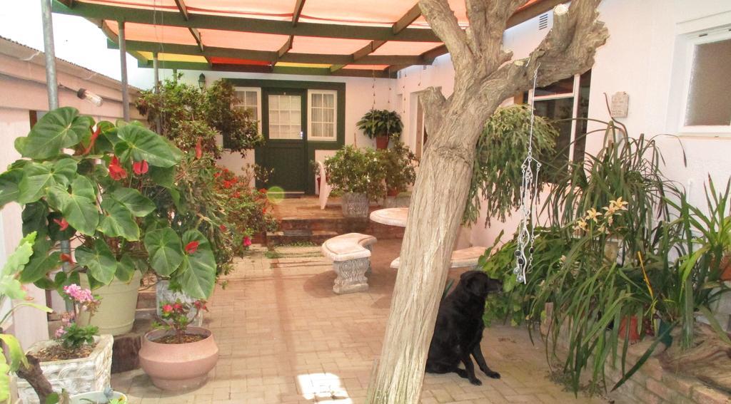 Van Rhyn Guest House Vanrhynsdorp Buitenkant foto